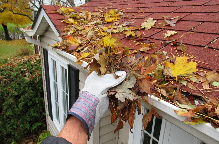 Gutter cleaning cost in Bellingham, WA — Spotless Heights